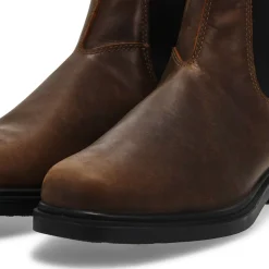 2241 - Winter All-Terrain Unisex