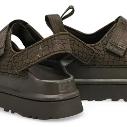 Golden Glow Embossed Women