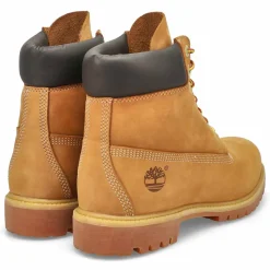 Premium 6-Inch Wide Men